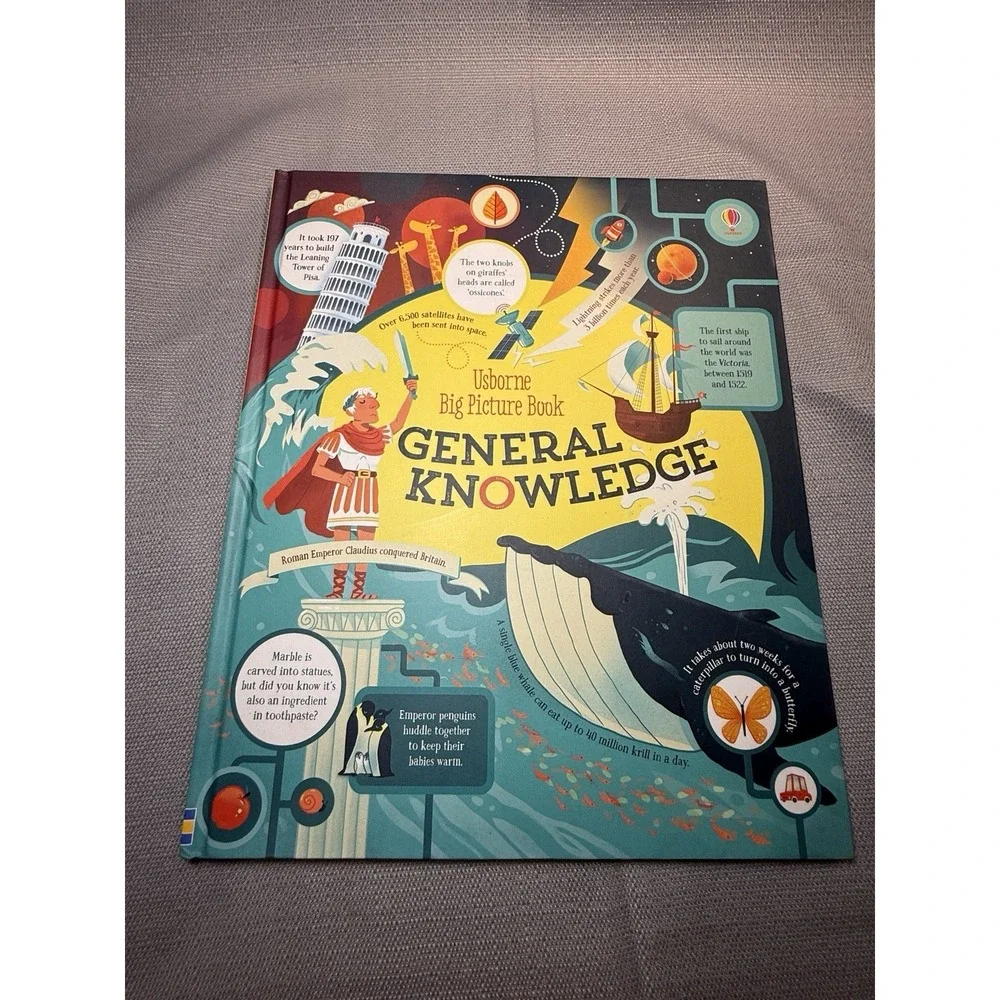 Lot of 7 Usborne Lift-the-Flap Questions and Answers Picture‎ Books Hardcover